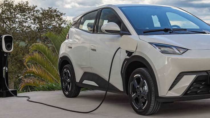 BYD en Argentina: Dolphin Mini, Yuan Pro y qué cargadores necesitás